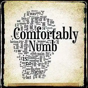 Picture for song 'comfortably numb - Pink Floyd' by artist 't polimeros'