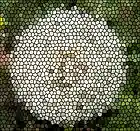 Picture for song 'Flux & Mutability for Percussion Ensemble' by artist '7StringJazz'