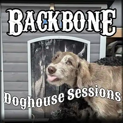 Picture for song '6 Wall to Wall Bang Bang (Live)' by artist 'Backbone'