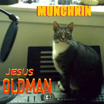 Picture for song 'WHILE MY GUITAR GENTLY WEEPS' by artist 'JESUS OLDMAN'