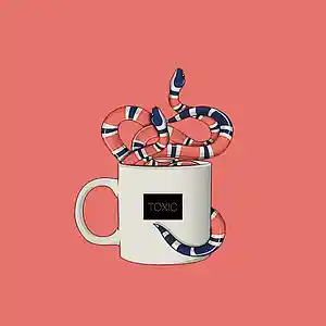 Picture for song 'Toxic **HIP-HOP/ TRAP INSTRUMENTAL**' by artist 'Karamel Klassik'