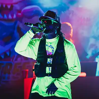 Song picture of 'ALL THIS ICE (Riff Raff Type Beat)'