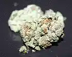Picture for song 'Green Crack' by artist 'Ripped Out Beats'