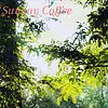 Picture for song 'Sunday Coffee' by artist 'Roy Master'