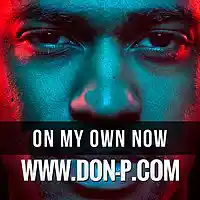 Picture for song 'On My Own Now' by artist 'DON P'