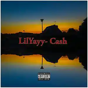 Picture for song 'LilYayy-Cash (OFFICIAL MUSIC AUDIO)' by artist 'LilYayy'