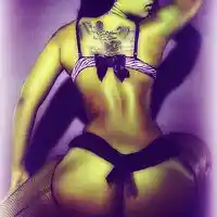 Picture for song 'CATCH PERFECTION' by artist 'MR.FREEDOWNLOAD'