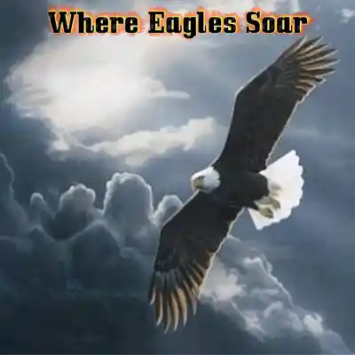 Picture for song 'Where Eagles Soar' by artist 'Swampman And The Machine'
