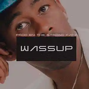 Picture for song '"WASSUP" - Tyler The Creator Type Beat' by artist 'The Strong Fate'