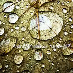 Song picture