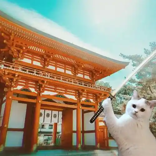 Picture for song 'Project 02 2010' by artist 'Bone Shaman'