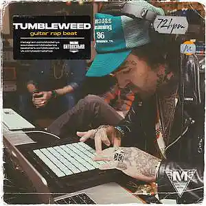 Picture for song 'Tumbleweed' by artist 'BITODELNYA'