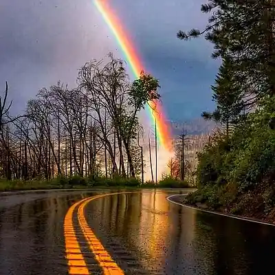 Picture for song 'Hendra - This Feeling (Progressive House)' by artist 'Borez Beatz'