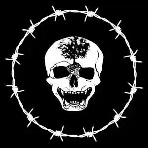 Picture for song 'IN THE CLUB' by artist 'HOLLYWOOD LEGEND PRODUCTIONS'