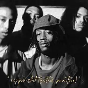 Picture for song ''rippin shit (battin practice)'' by artist 'Larry Soundz'