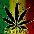 Picture for song 'Marijuana' by artist 'Sky Hi9h Entertainment'