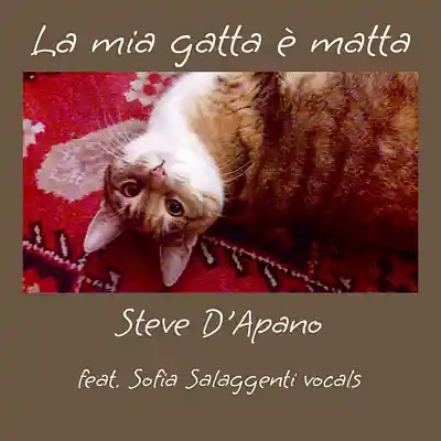 Picture for song 'La mia gatta è matta' by artist 'Steve D'Apano'