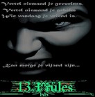 Picture for song '2009je weet wat hebje nodig dan' by artist '13 1rules'
