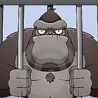 Picture for song 'Capital Traffic - Gorilla Cage' by artist 'AIRAY'