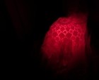 Picture for song 'Tailor's Arsenal' by artist 'Alternate Ending (GE)'