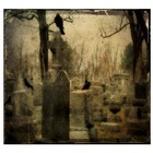 Picture for song 'Massacre' by artist 'B DizzleProduction'