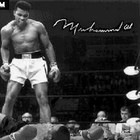 Picture for song 'CHAMP IS HERE.......MELLO.mp3' by artist 'beat squadmello'