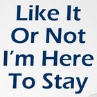 Picture for song 'Here To Stay' by artist 'Billboard Classics'