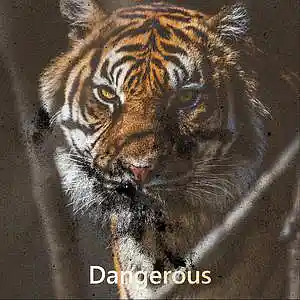 Picture for song '"Dangerous" Pop Smoke Uk Drill (SALE)' by artist 'BirdOnDaBeat'