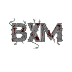 Picture for song 'B.Y.O.B.' by artist 'bXm'