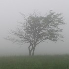 Picture for song 'Blue Ridge Morning' by artist 'Dan Andrade'