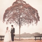 Picture for song 'Forever I Will Cherish You' by artist 'Davyd Chong'