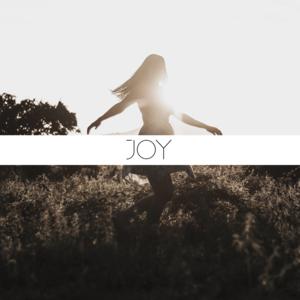 Picture for song 'Joy (Smooth Breakbeat Type Beat) - Devezin.com' by artist 'Devezin'