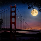 Picture for song '(smooth)NIGHT LIFE**$$**' by artist 'DRIPT BEATZ'