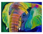 Picture for song 'Elephant In The Room (36ty5 Collab) *Live Guitar*' by artist 'Dynasty aka Rome'