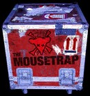 Picture for song 'Mouse Trap' by artist 'Fellony'