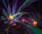 Picture for song 'Iris Flower.mp3' by artist 'GENERALNAM'