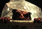 Picture for song 'Tarbaby - Stupid Questions PSA' by artist 'Human Wire Music'
