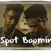 Picture for song 'Spot Boomin(21 Savage x Metro Type)Free Dl ' by artist 'InfPhenom'