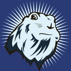 Picture for song 'TheAct***NEW INSTRUMENTAL***' by artist 'JayP805King'