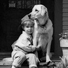 Picture for song '*NEW* Loyalty (R'n'B) FREE DOWNLOAD!!!' by artist 'JCaspersen'