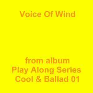 Picture for song 'Voice Of Wind' by artist 'Jean-Marc Lozach'