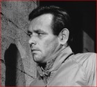 Picture for song 'Fugitive Kind' by artist 'John P Roche'