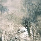 Picture for song 'thaAmbience' by artist 'Kypee Bxtch'