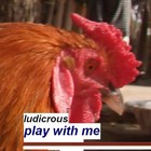 Picture for song 'play with me' by artist 'ludicrous'
