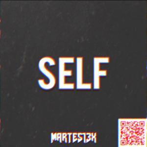 Picture for song 'Self 93 Bpm' by artist 'Martes13x'