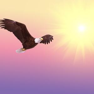 Picture for song 'On Eagles Wings (feat. Clare Steffen)' by artist 'Nashville Country'