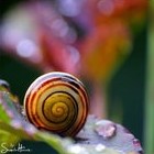 Picture for song 'It's gonna take a miracle (free download)' by artist 'Not HollyWood Production'