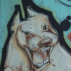 Picture for song 'Bark or Bite? (Instrumental)' by artist 'NuSenze'