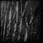 Picture for song '03 Alfheim.mp3' by artist 'oxyde noir'