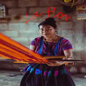 Picture for song 'La flor' by artist 'Peaky 85B'